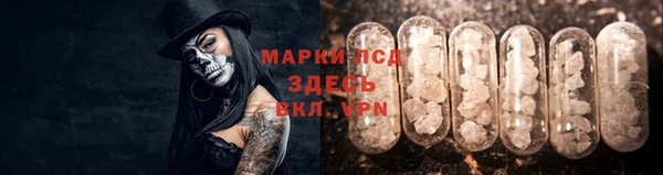 дмт Белокуриха