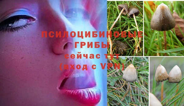 мдма Беломорск