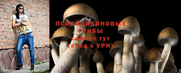 ECSTASY Белоозёрский